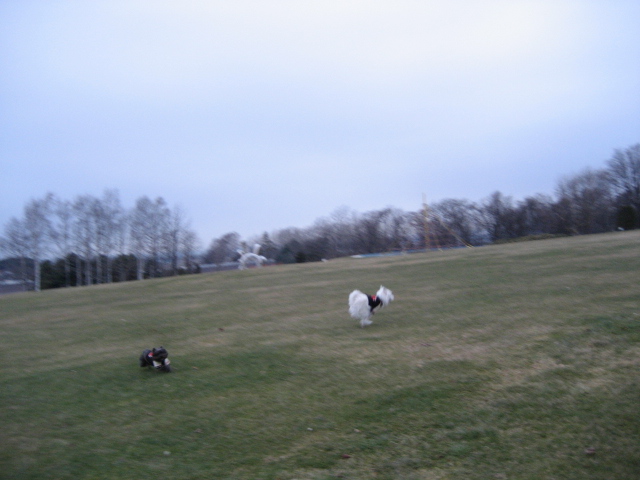 d0009101_22174273.jpg