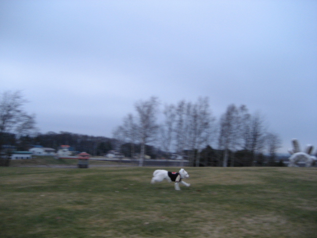 d0009101_22181954.jpg