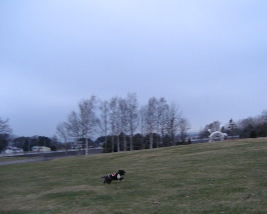 d0009101_2218882.jpg