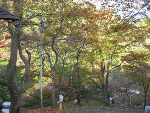 e0136503_17582046.jpg