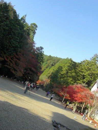 e0136503_1822791.jpg