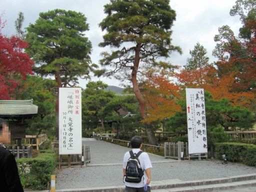 e0136503_2027086.jpg