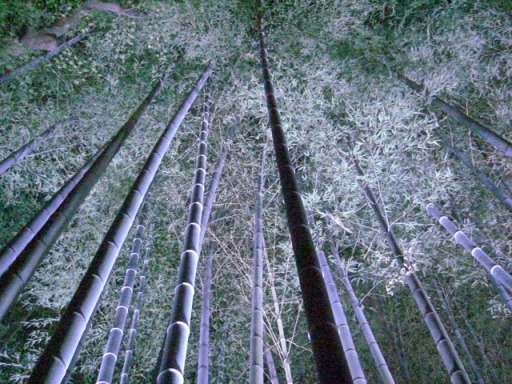 e0136503_21453550.jpg