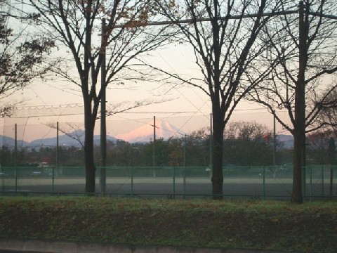 e0046305_8332282.jpg