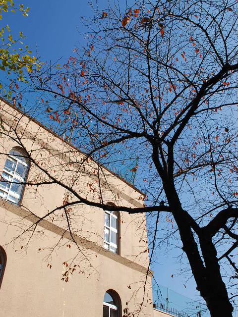 東京都新宿区立早稲田小学校(昭和モダン建築探訪)_f0142606_2055542.jpg