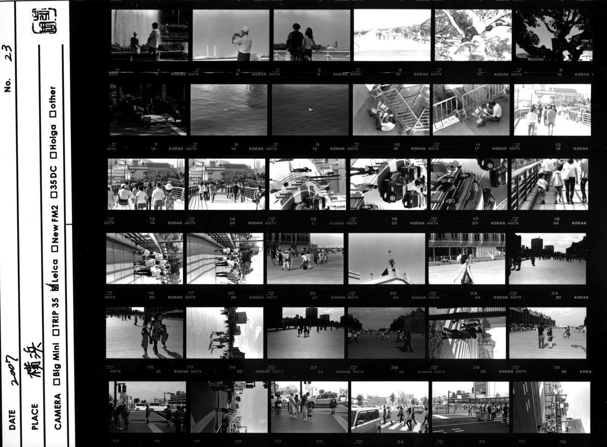コンタクト プリント Made In The Shade
