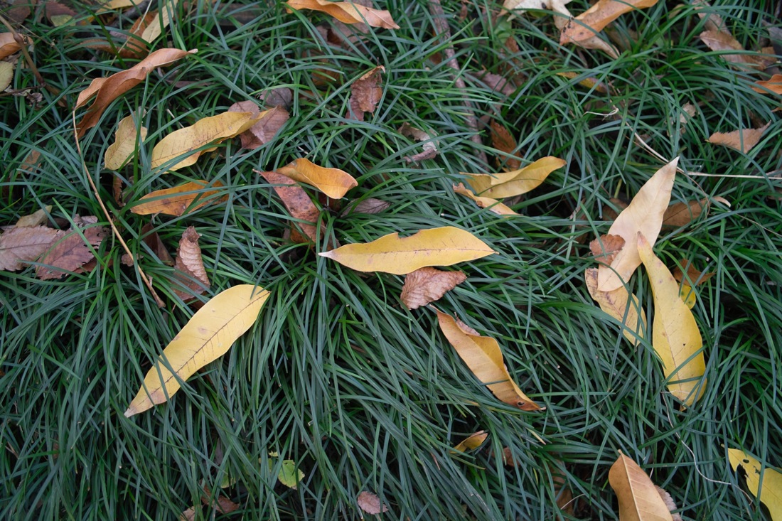 b0137311_2551985.jpg