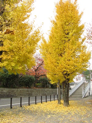 c0132711_1552216.jpg