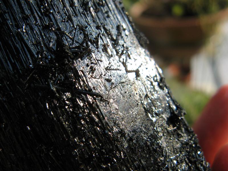 e0139012_1401543.jpg
