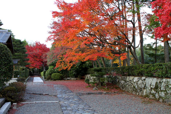 紅葉終盤 天竜寺_e0048413_15425720.jpg