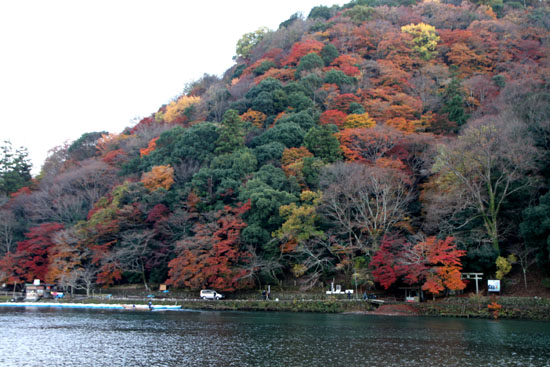 紅葉終盤 天竜寺_e0048413_15442041.jpg
