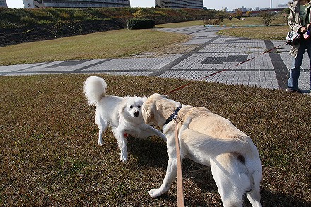 天使と小悪魔　［パリ編］_f0191413_11165480.jpg