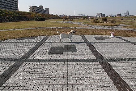 天使と小悪魔　［パリ編］_f0191413_1182354.jpg