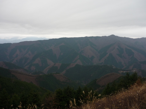 c0188814_08224.jpg