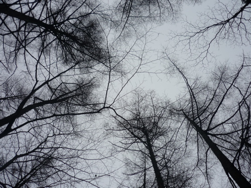 c0188814_08336.jpg