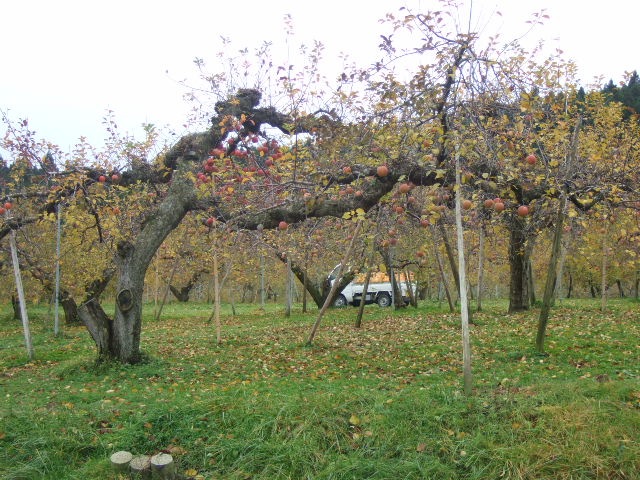 f0143119_17484759.jpg
