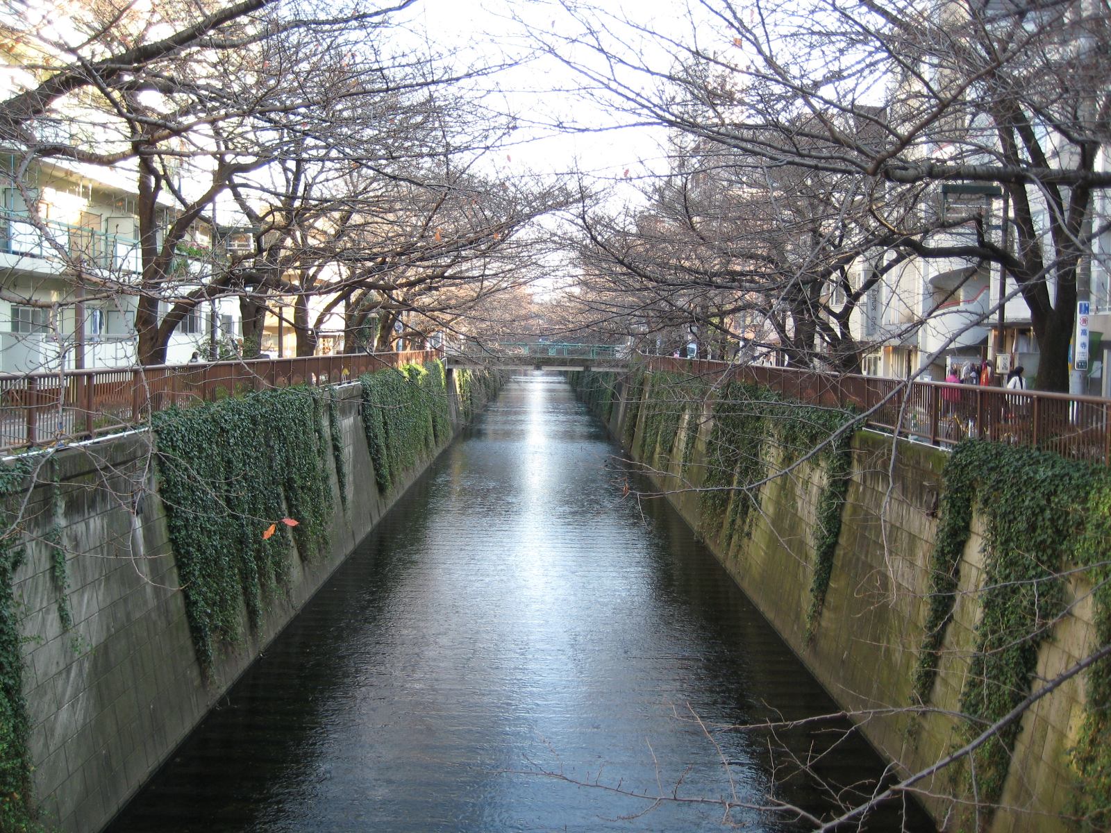 c0214320_2330783.jpg