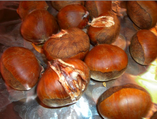 roasted chestnuts  焼きぐり_c0193723_12141863.jpg