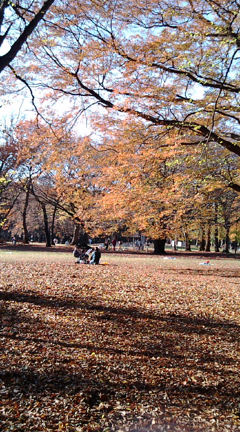 野川公園の紅葉_d0000324_14584294.jpg