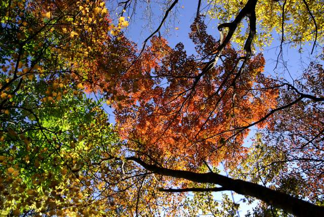 c0027027_23385421.jpg