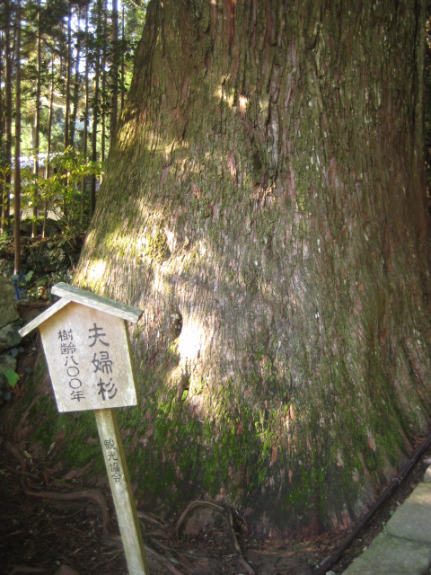 d0147727_20315114.jpg
