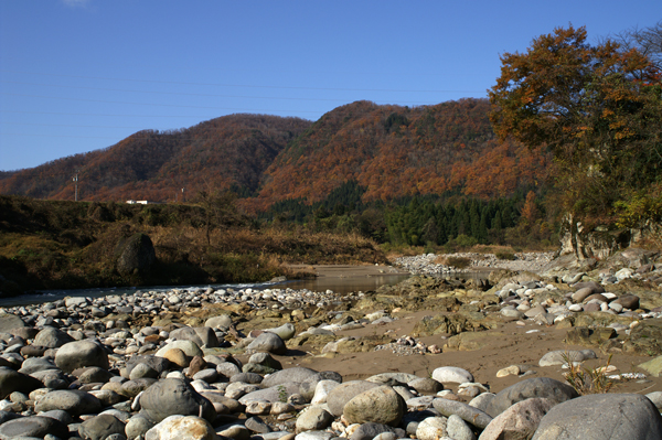 b0177233_44831.jpg