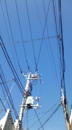 e0069433_20433432.jpg