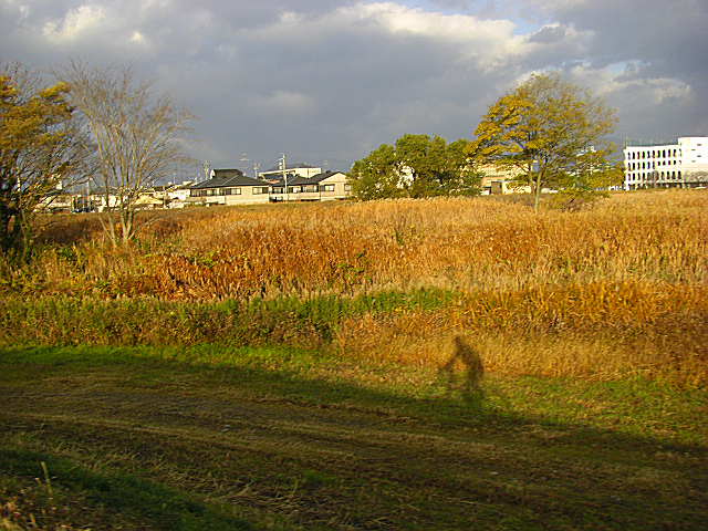 ギャップ_b0088444_21495548.jpg