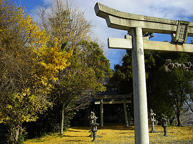 ギャップ_b0088444_2283491.jpg
