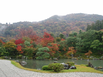 京都プチ旅行記　①（続き）_a0061057_22484561.jpg