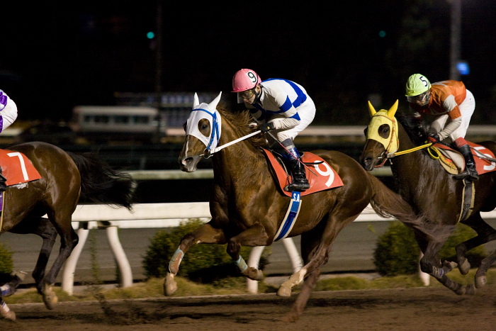 2009年12月6日（日） 高知競馬 10R 初冬特別 D1 選抜馬_a0077663_2010544.jpg