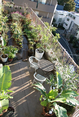 f0160063_92604.jpg