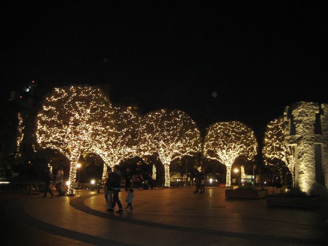 a0123465_23541872.jpg