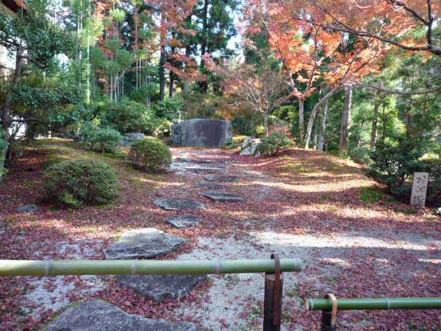 そうだ、京都に行こう…常照寺_c0183167_20274399.jpg