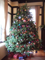 e0142170_1324953.jpg