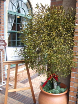 e0142170_1331030.jpg