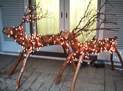 e0142170_17333629.jpg
