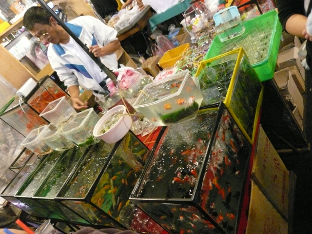 台湾旅行2009 続台北編3(7日目)饒河街夜市_f0097683_234321.jpg
