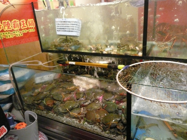 台湾旅行2009 続台北編3(7日目)饒河街夜市_f0097683_236561.jpg