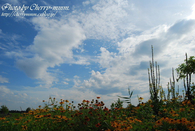 c0156789_22322893.jpg