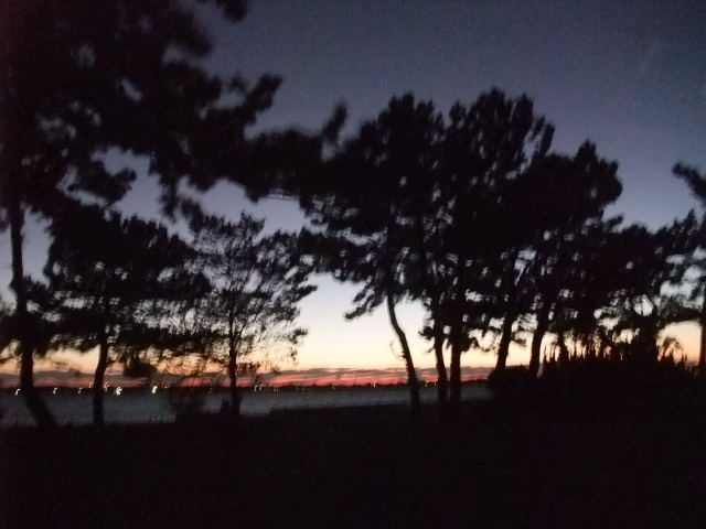 c0183801_1791041.jpg