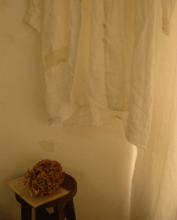 c0128402_10435345.gif