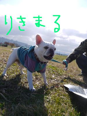 c0188904_839493.jpg