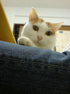 c0006312_19352299.jpg