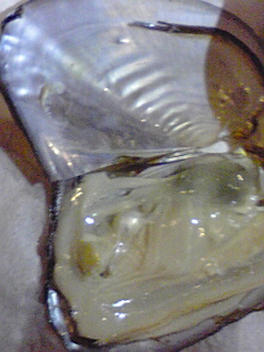f0049813_9334827.jpg