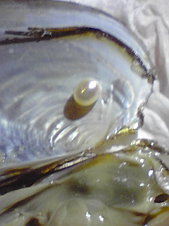 f0049813_9334885.jpg
