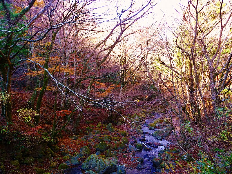f0182513_925882.jpg