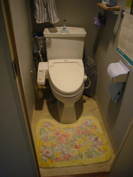 トイレのリフォーム_f0140817_2126187.jpg