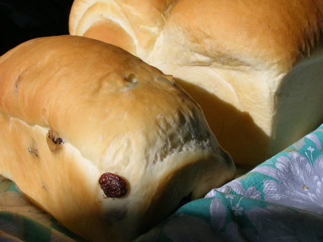 c0097923_5313981.jpg