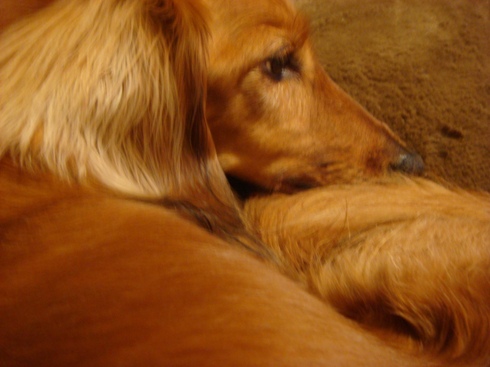 c0190424_2156859.jpg